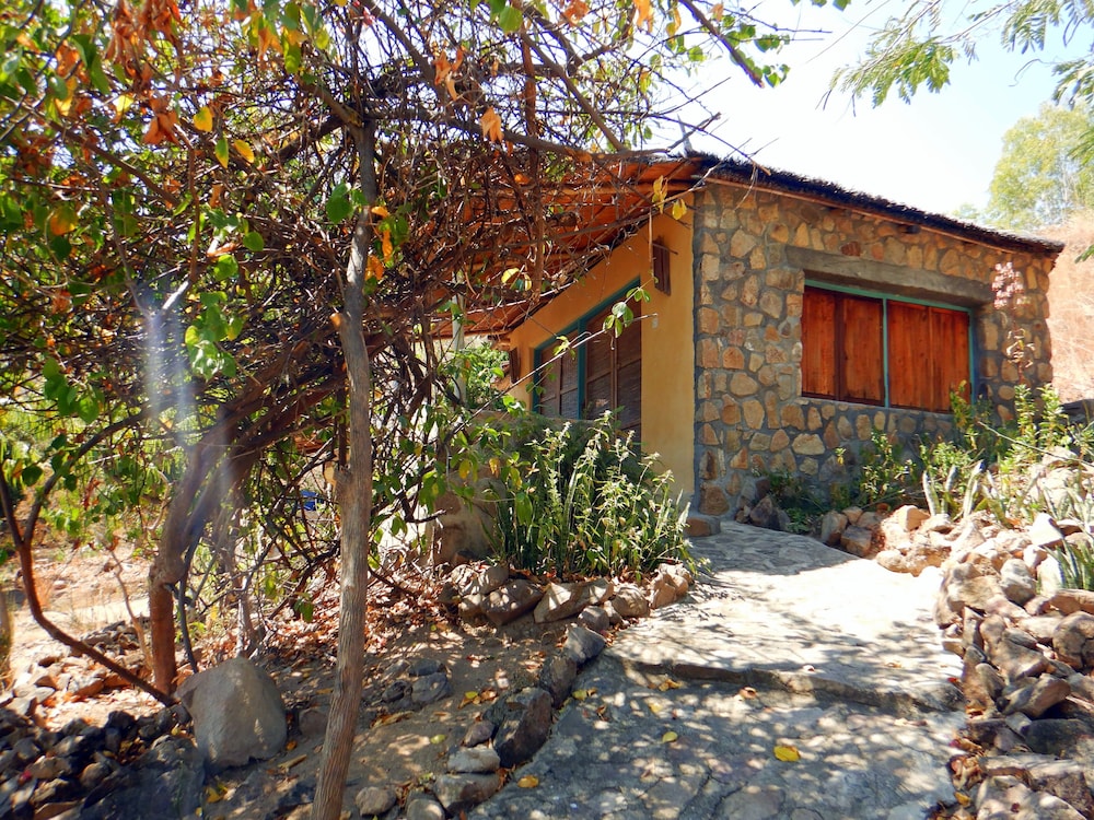 Mango Drift Lodge - Hostel view 4