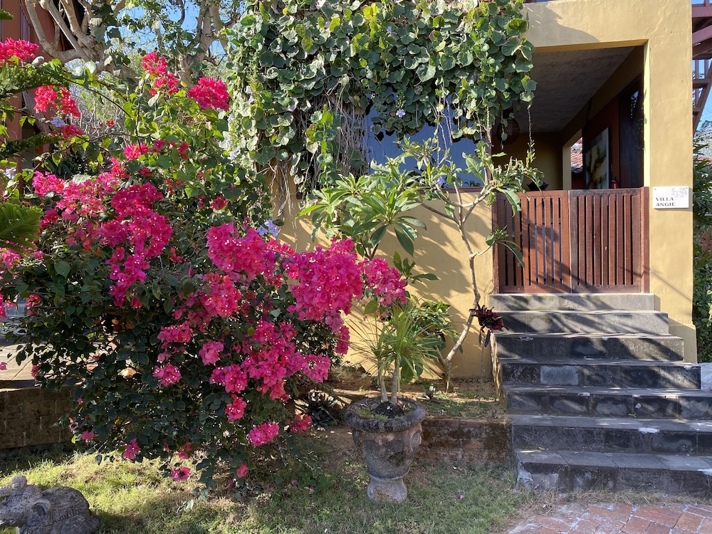 Villa Anjing 2