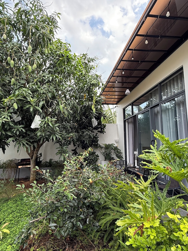 HOMESTAY HALONA