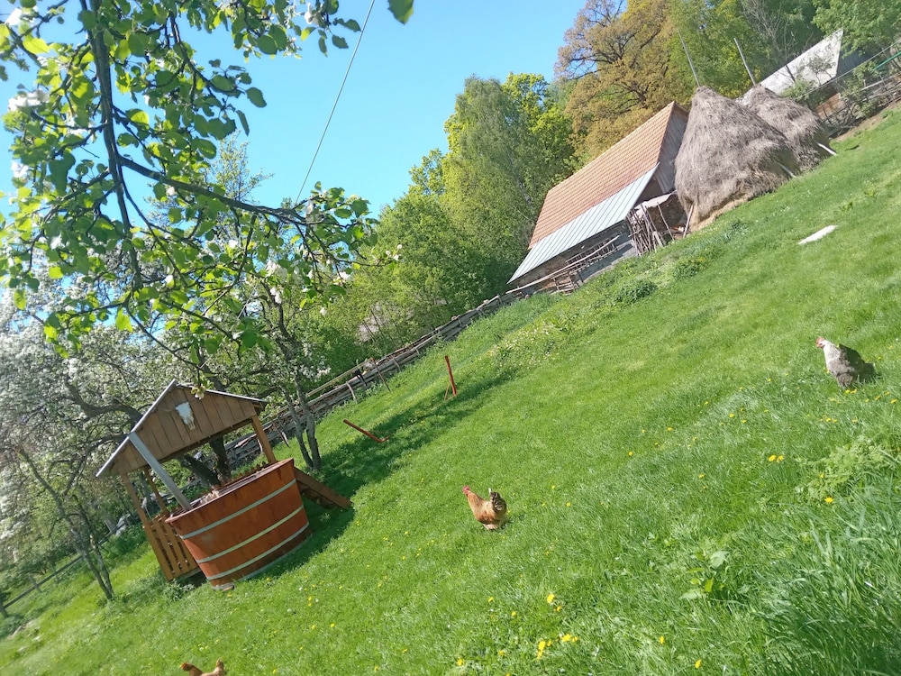 Photo 17