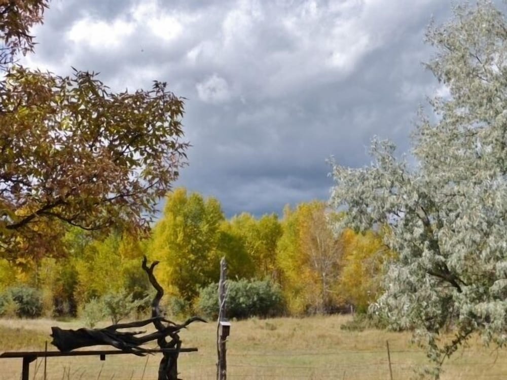 Emigrant Cabin on 10 Acres w/ BBQ & Peaceful Views