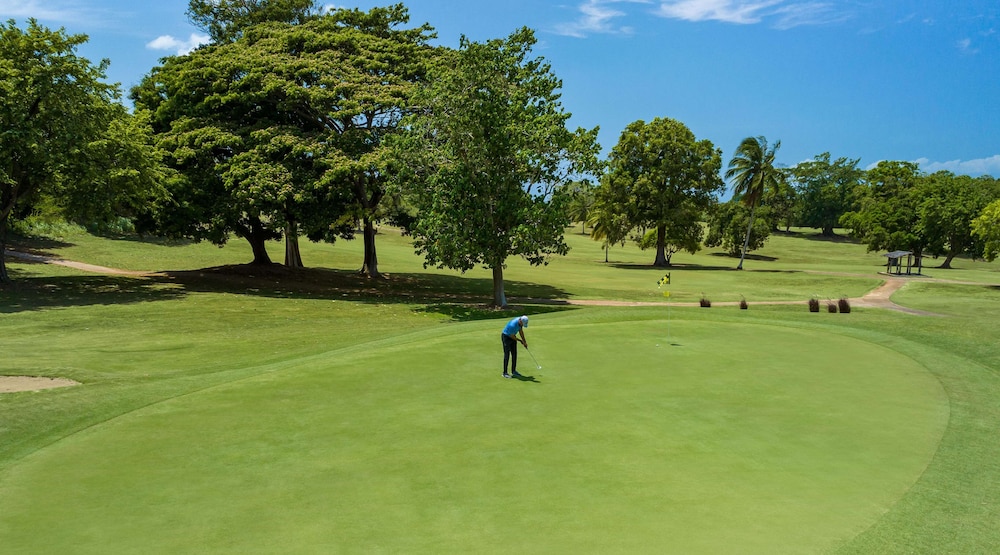 Jamaica Vacations - Sandals Dunns River  - Couples Only - All-inclusive - Property Image 11