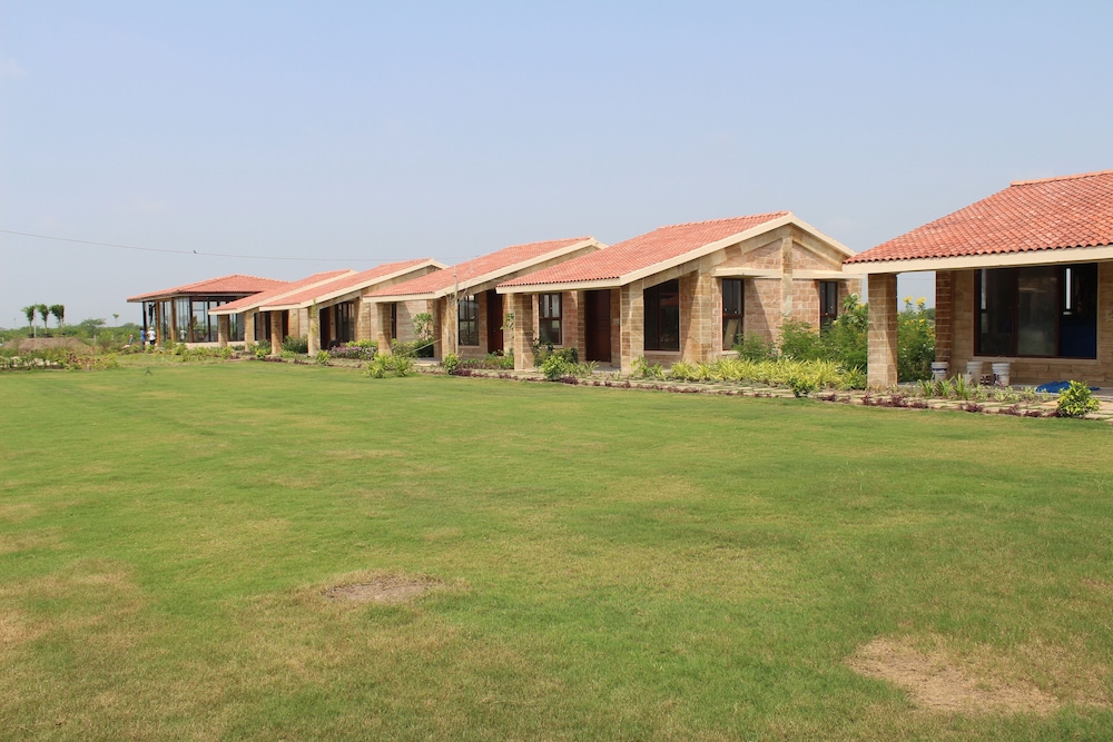 The Blackbuck Trails Velavadar view 5