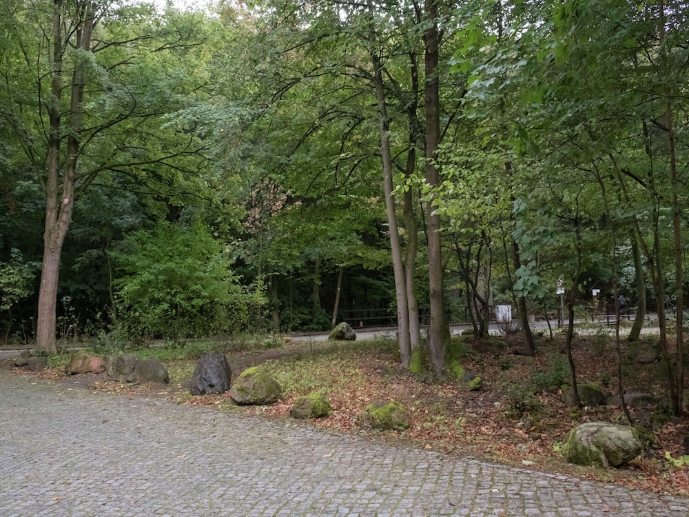 Ferienwohnung im Herzen Ilsenburgs view 3