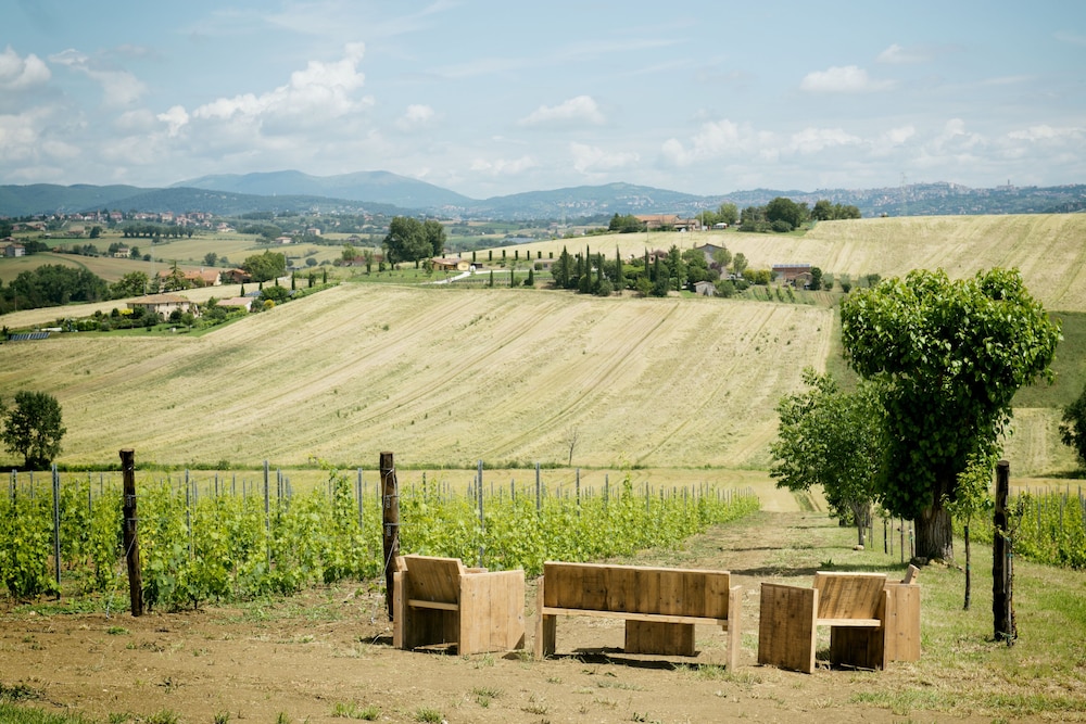 Tenuta Dei Mori
