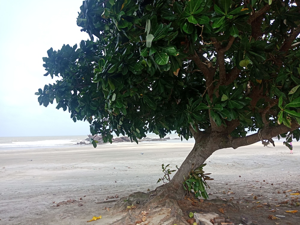 other