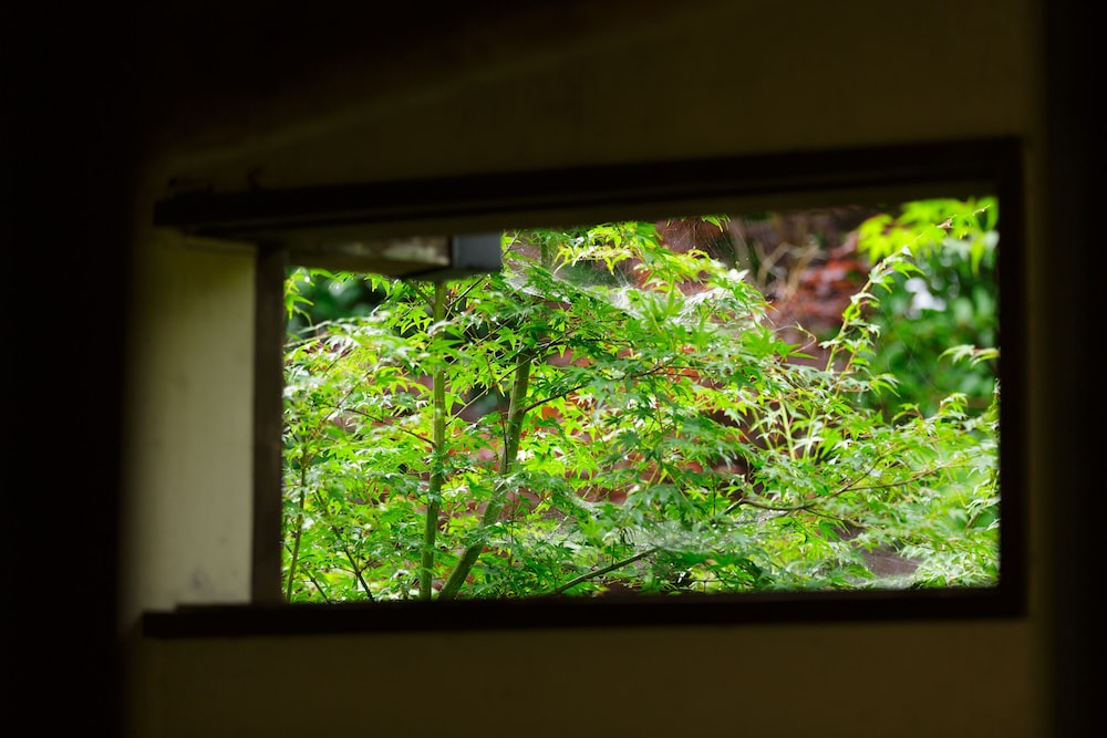 Yufuin Ryokan Nogiku