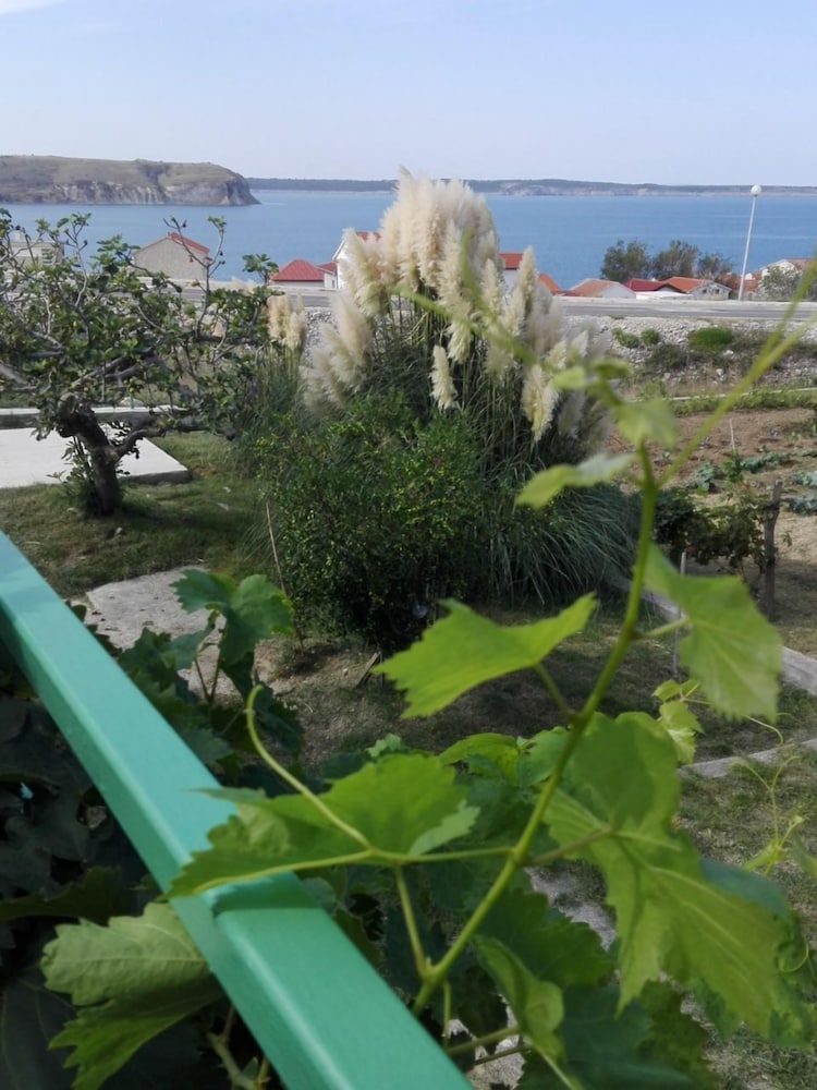 Markas - pet Friendly - A1 Bella Vista 1