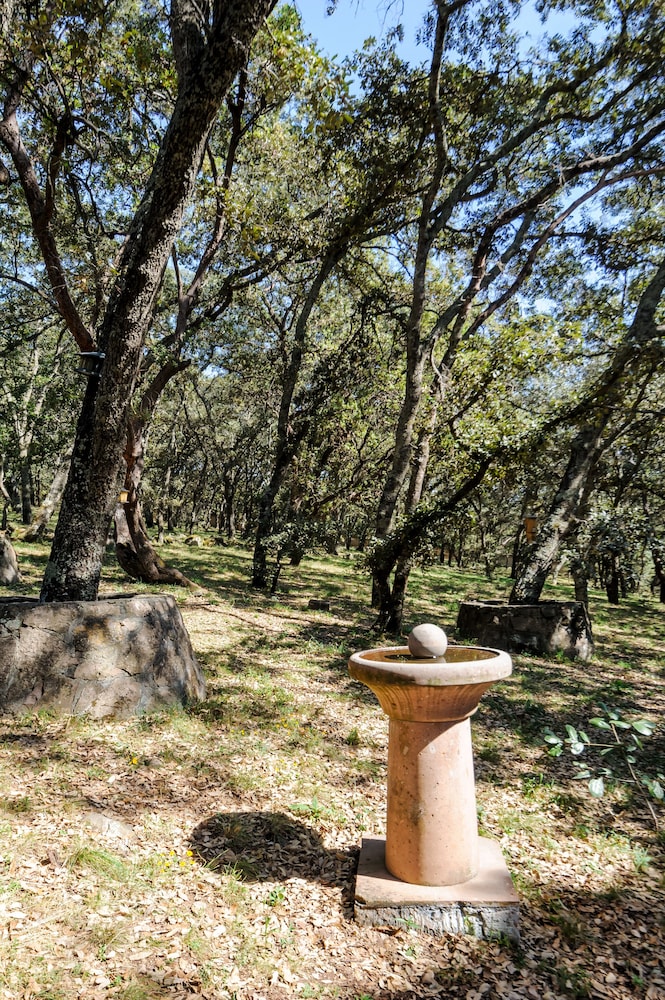 Los Encinos Countryside Nature & Privacy