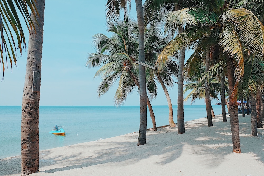 Sea Sand Trees