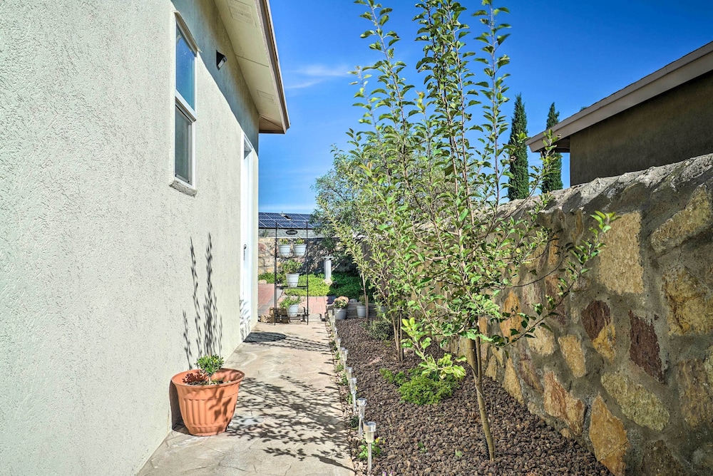 Photo 12