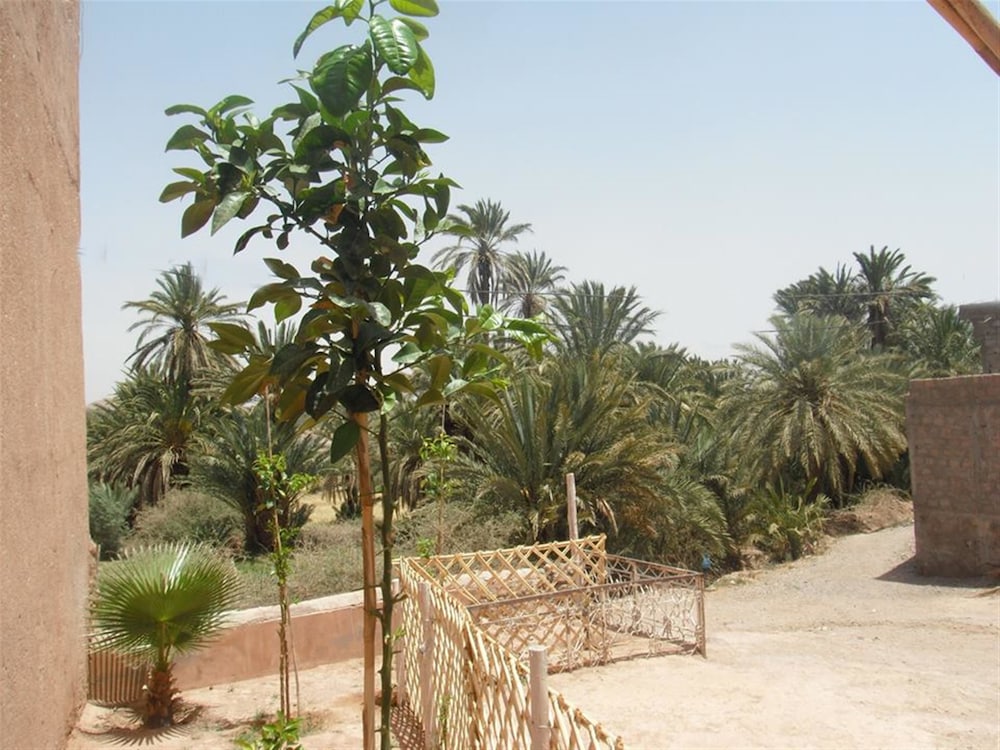 Riad Sarayas