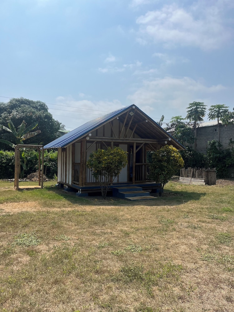 Tree of Life - Hostel