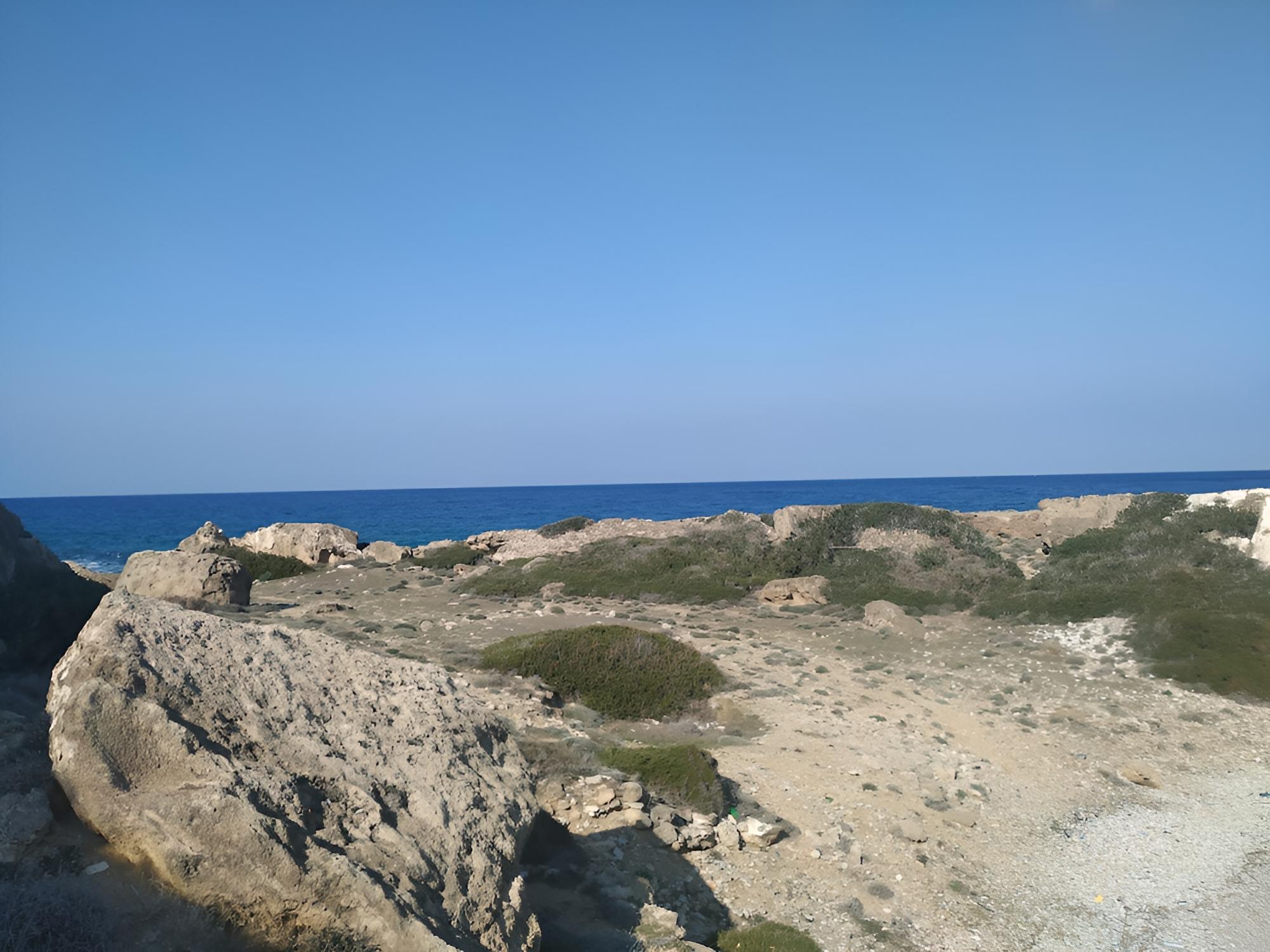 Ardıc Agacı Tatil Köyü