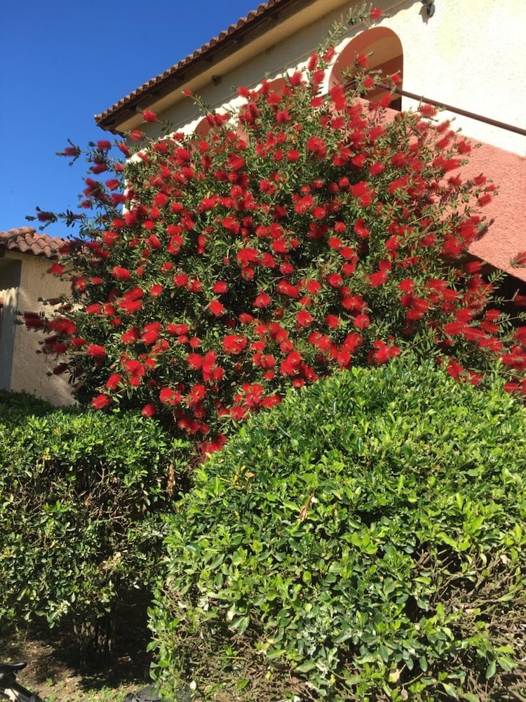Photo 38