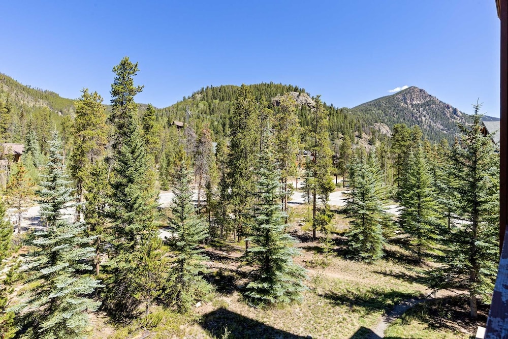 8858 The Springs 1 Bedroom Condo by RedAwning view 2