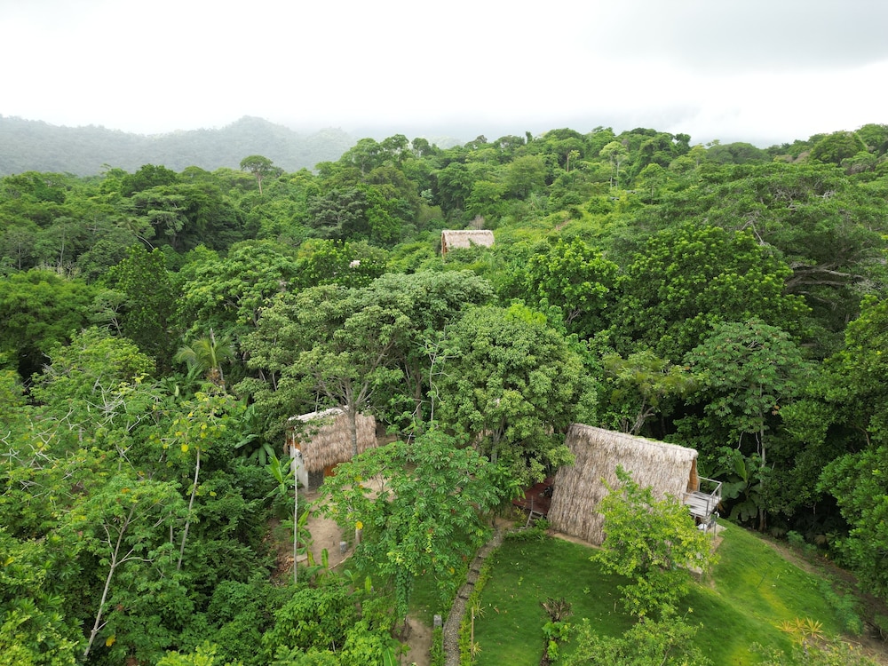 Tiny Houses Unique Tayrona