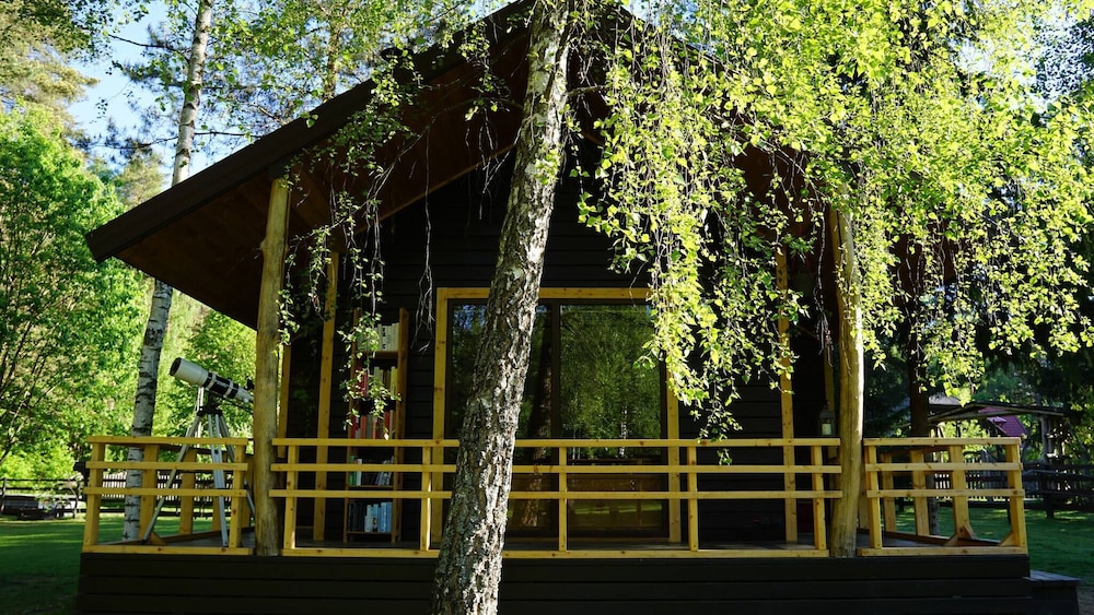 Metai Miške&a Year in the Forest