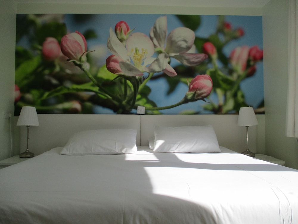 Hillview Bed and Breakfast