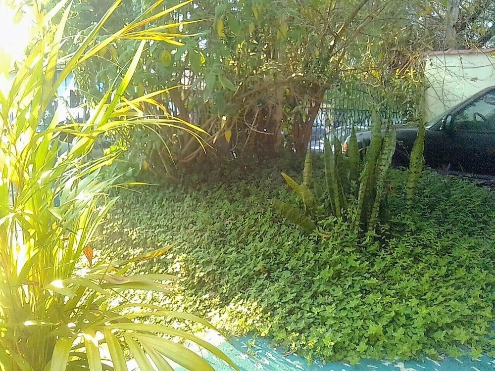 Photo 56