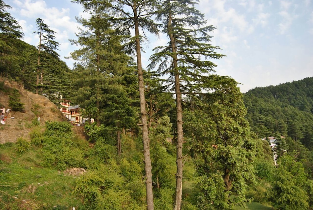 Hotel Dogra Residency Bar and Resturant