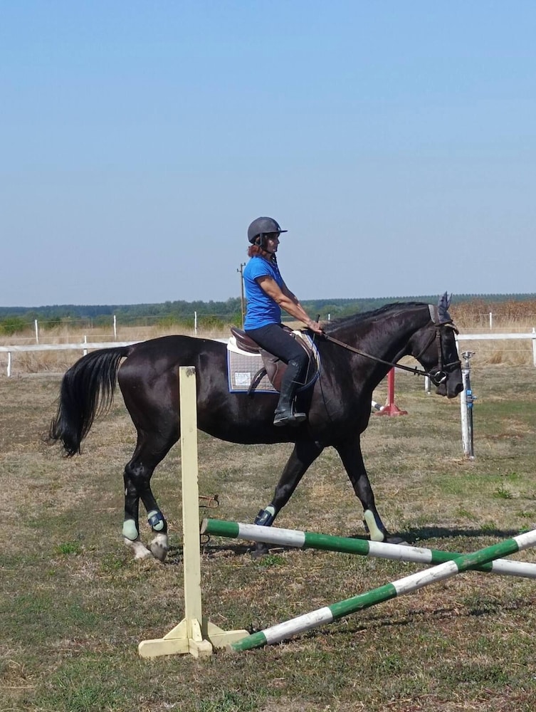 ESCUS HORSES