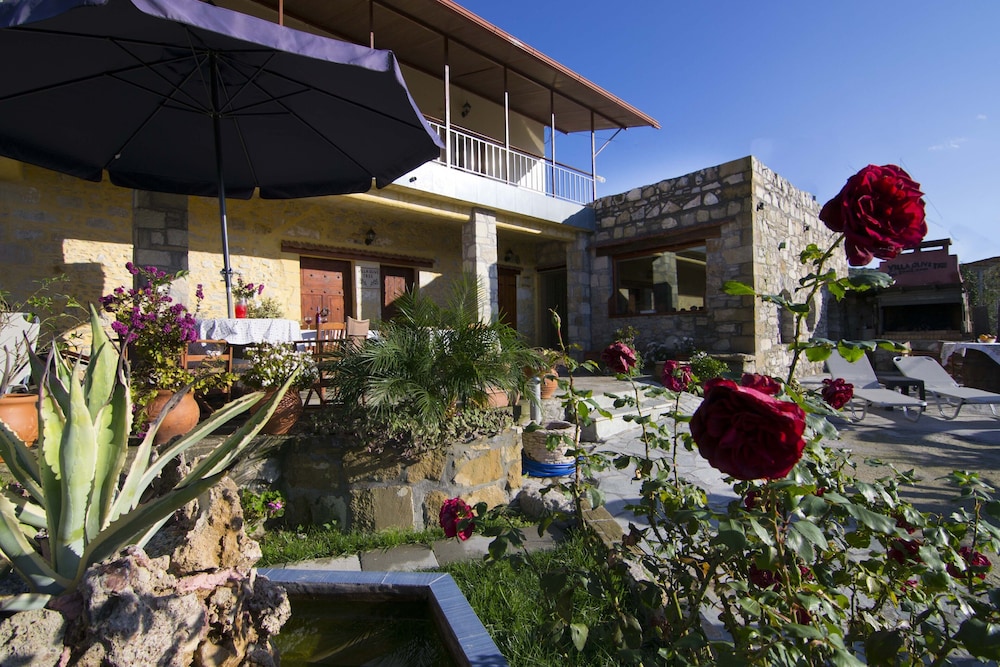 Villa Olive Tree
