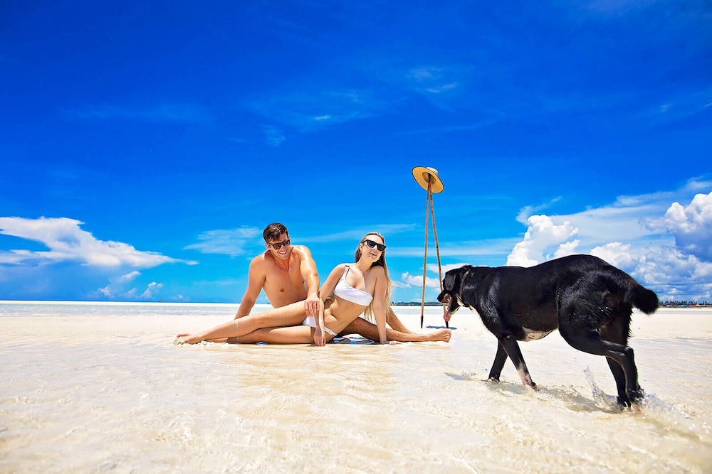 The Island - Pongwe Lodge - Adults Only