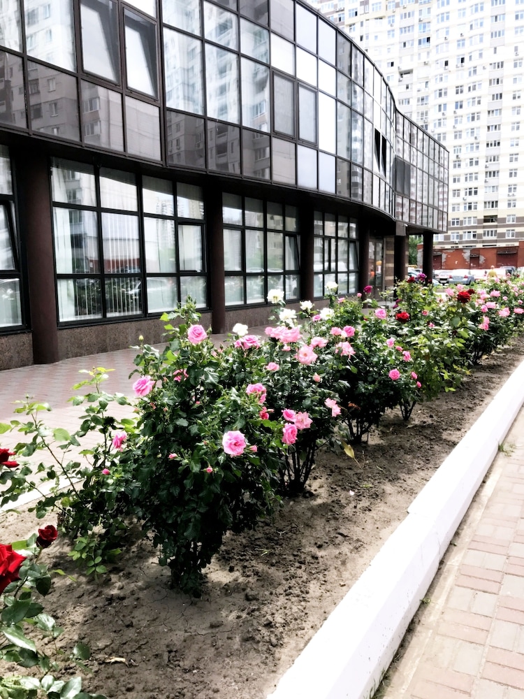 Sophie Apartments