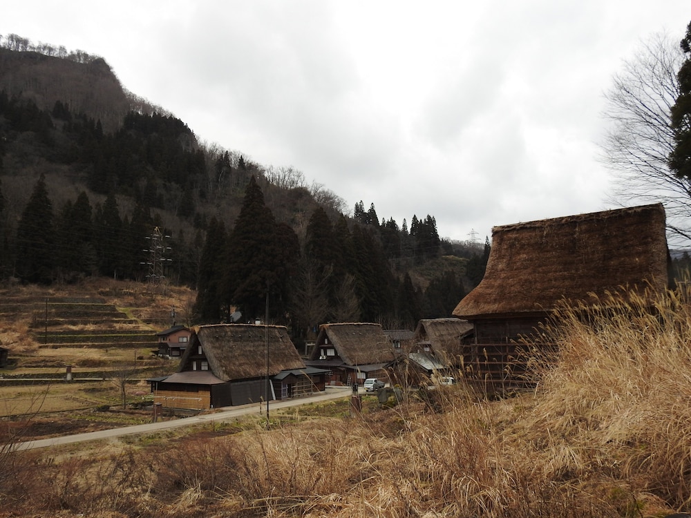 Photo 42