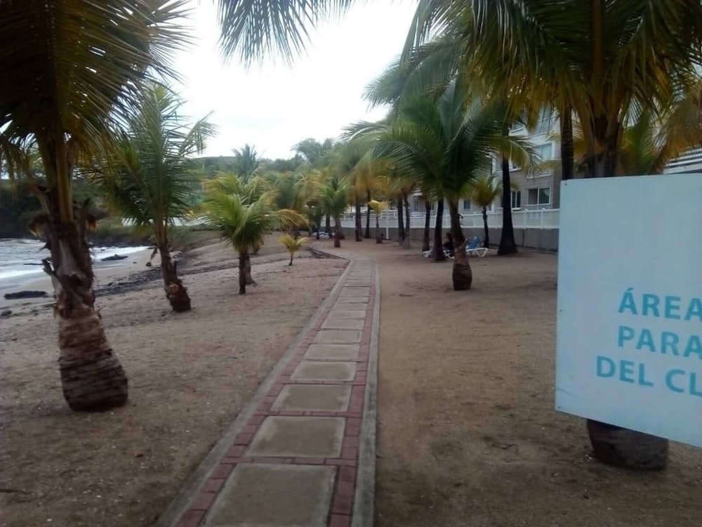 Room in Guest Room - Room in Comfortable Apartment Located on the Beach Very Close to the City