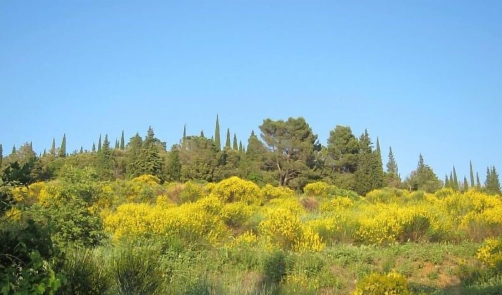 Agriturismo Antica Dimora