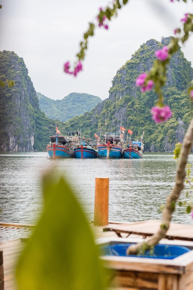 Lan Ha Floating Homestay