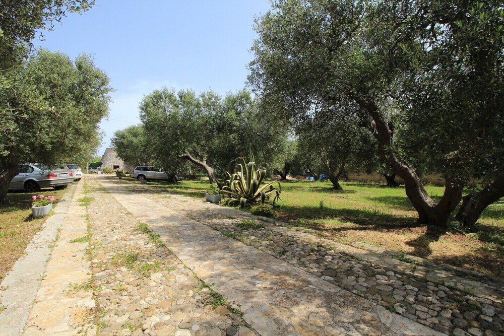Photo 20