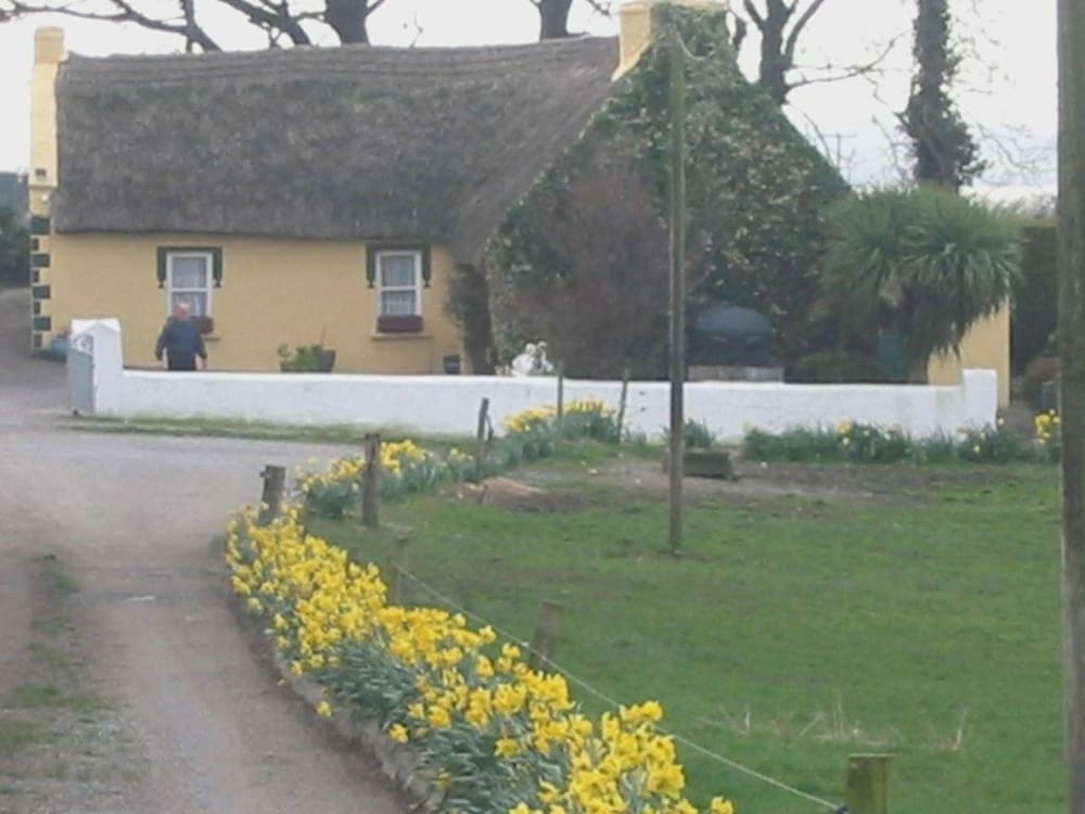 Knights Haven B&B