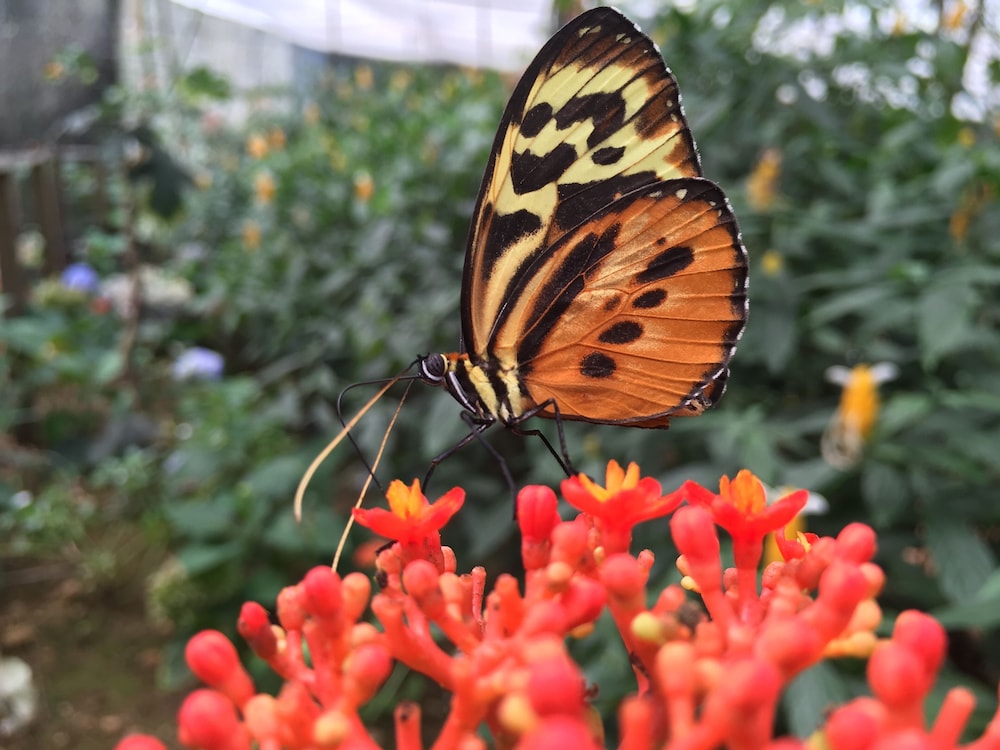 Grand Selva Lodge & Tours