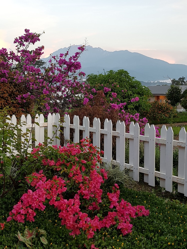 Sabah Tea Resort