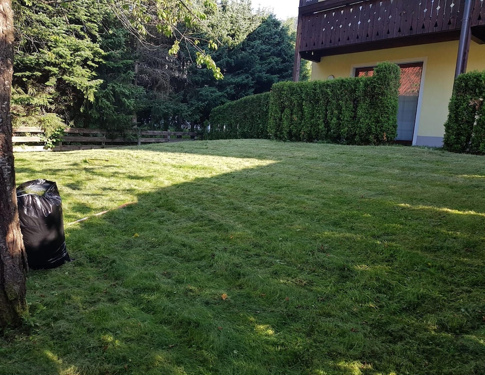 Apartment Near Romerbad Thermal Spa