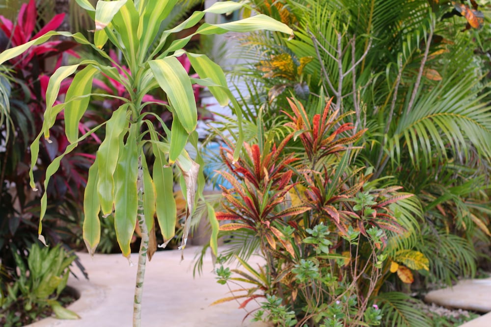 Livetulum - Property Image 6