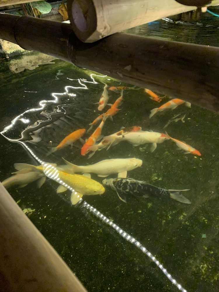 Hostel Baan Ichi