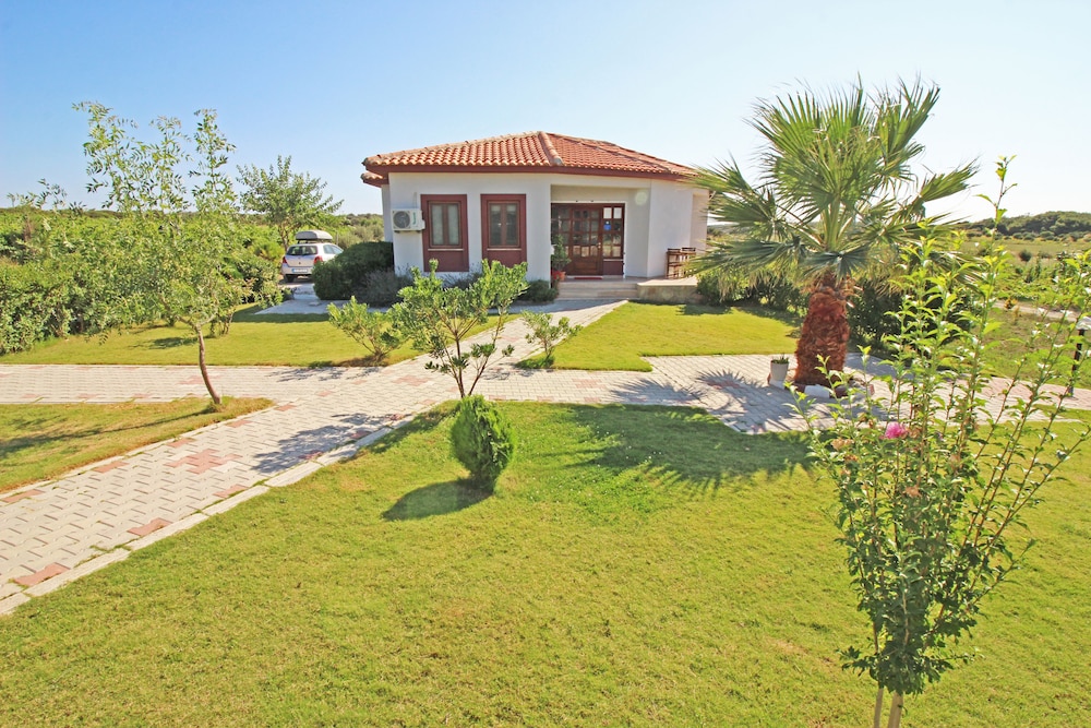 Karina Vineyard Evi - Image 15