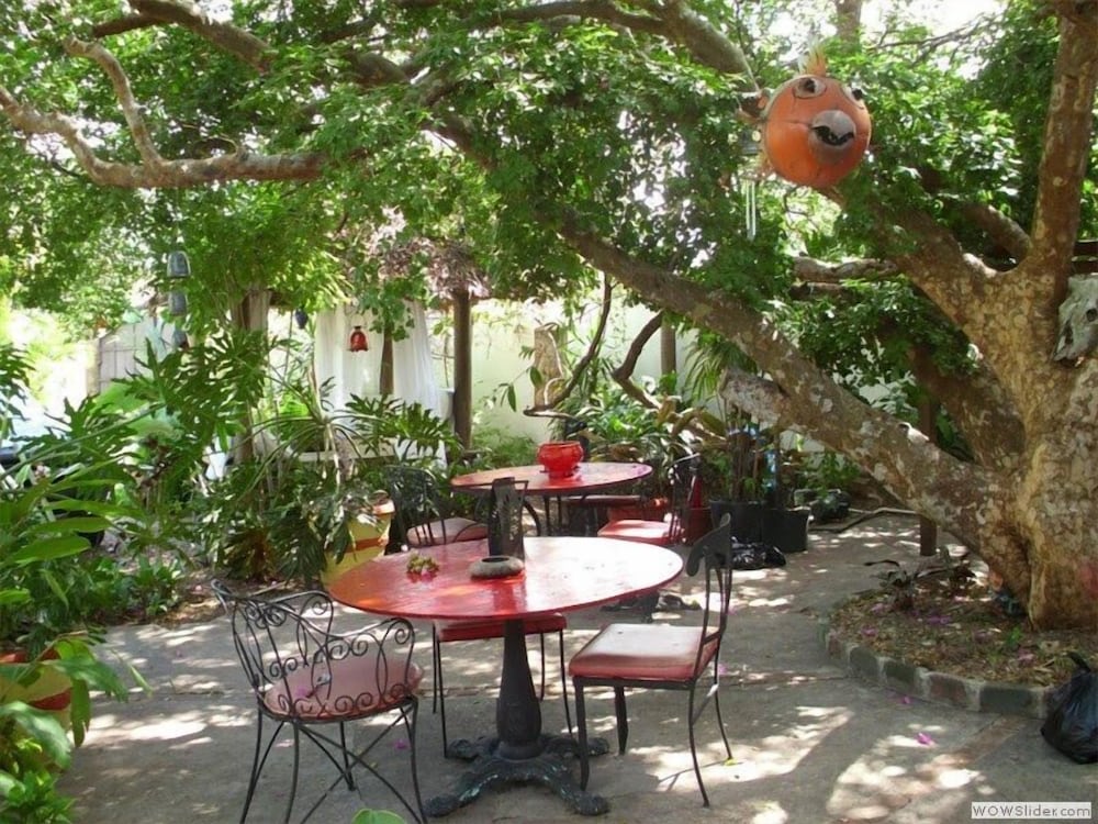 Mikuzi Jamaica