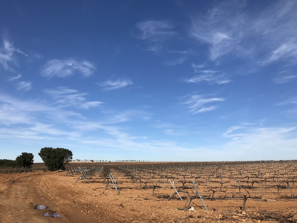 Hostal Rural Los Girasoles de iniesta