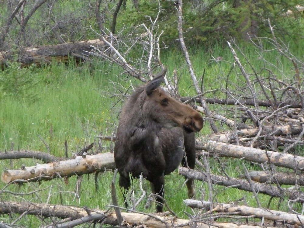 Loveland Vacations - Stoney River Lodge - Property Image 25