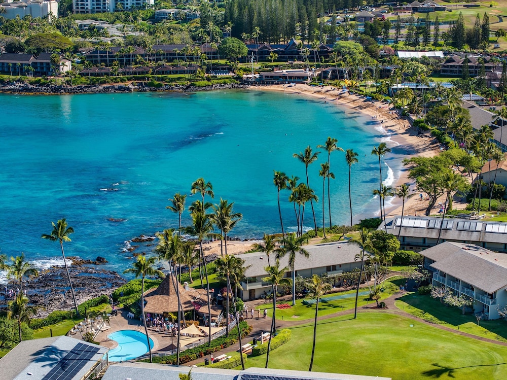 Napili Shores H262 in Lahaina