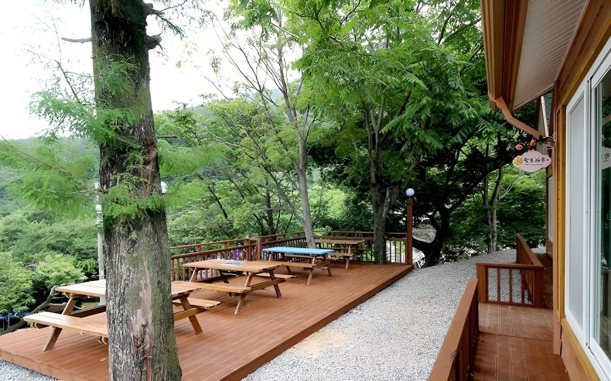 Photo 12