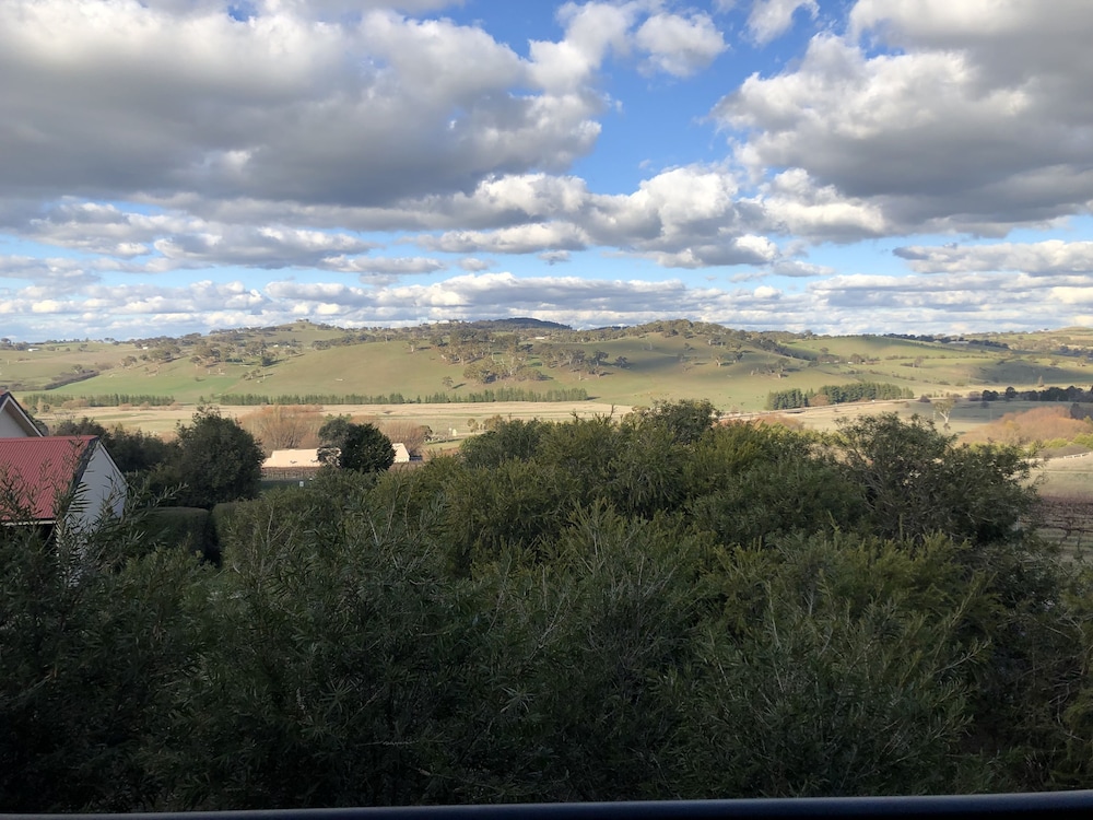 Turners Vineyard