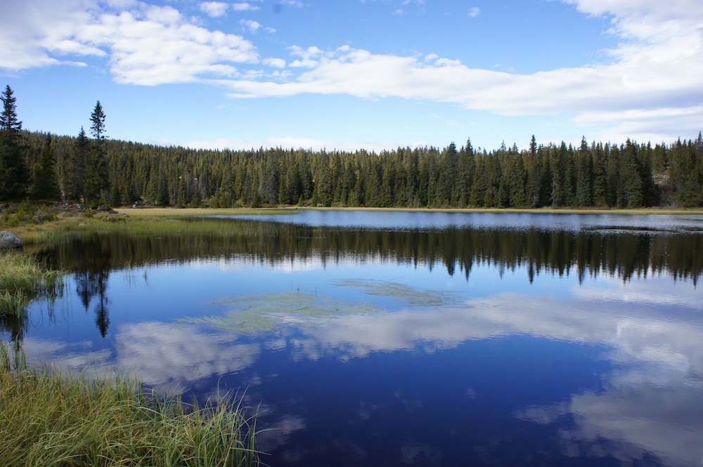 Photo 40