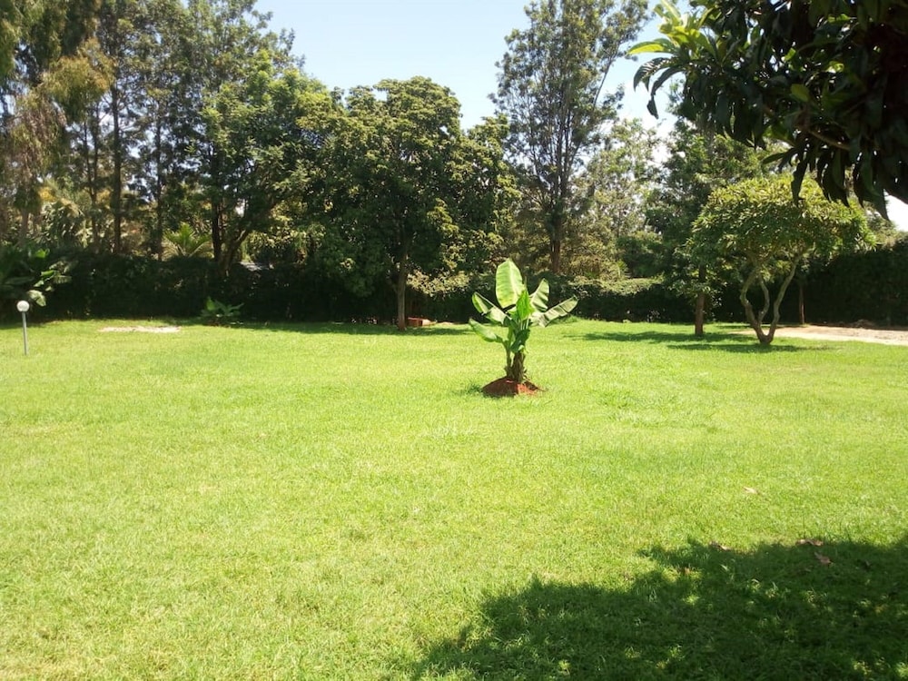 Photo 37