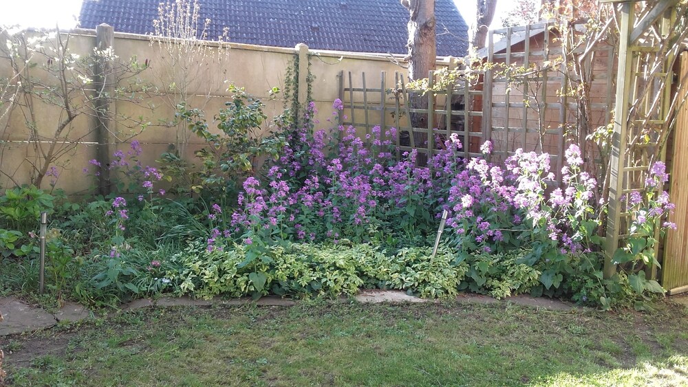 Photo 46